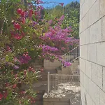 Maison d'hôtes & Lucija 3*
